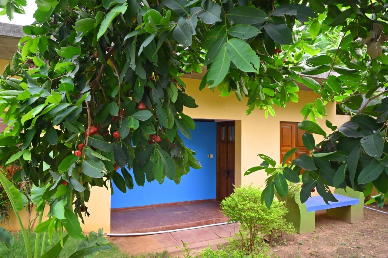 Les Boganveillea Heritage Guest House 오로빌 외부 사진